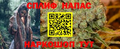 сатива Кинель