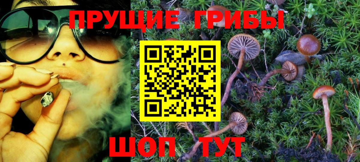 купить закладку  Галлюциногенные грибы Psilocybe  Галлюциногенные грибы мицелий  Вход с VPN  Чебоксары 